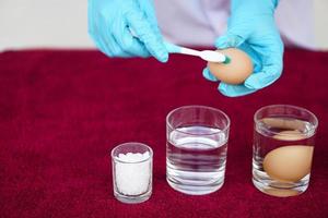 Closeup hands use old toothbrush to clean egg before doing science experiment about freshness of eggs. Concept, fun and easy science activity for learning by doing, studying lesson. Education. photo