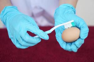Closeup hands use old toothbrush to clean egg before doing science experiment about freshness of eggs. Concept, fun and easy science activity for learning by doing, studying lesson. Education. photo