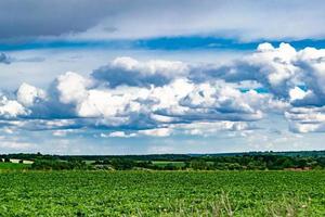 Beautiful horizon scenery in village meadow on color natural background photo