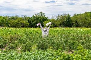 El espantapájaros aterrador en el jardín desalienta a los pájaros hambrientos foto