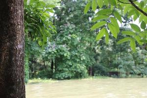 The rural areas of Bangladesh looked very beautiful during the floods photo