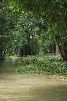 The rural areas of Bangladesh looked very beautiful during the floods photo