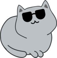 chat avec des lunettes de soleil dessin animé personnage rogner png