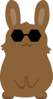 Rabbit with sunglasses cartoon character crop-out png