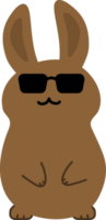 Rabbit with sunglasses cartoon character crop-out png