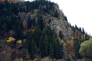 otoño bosque montañas arboles paisaje Fresco aire foto