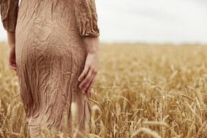 Woman hands the farmer concerned the ripening of wheat ears in early summer endless field photo