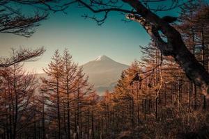 Mt. Fuji over Lake Kawaguchiko with autumn foliage at sunrise in Fujikawaguchiko, Japan. photo