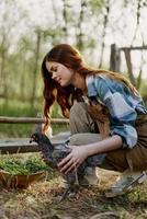 mujer sonrisas mirando a el pollo ella sostiene cerca el alimentador en su manos en el granja, granja labor para levantamiento sano aves y alimentación ellos orgánico comida en naturaleza foto