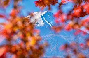 monte. fuji en azul cielo antecedentes con otoño follaje a tiempo de día en fujikawaguchiko, Japón. foto