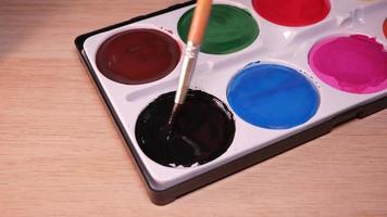 schwarz Aquarell Nahansicht im ein Palette video