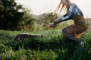 A woman plays a game with her little dog on the green grass in a field in the sunny evening light of nature. The concept of caring for animals and harmony with nature photo