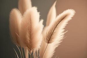 pampas grass neutral beige color background. Illustration photo