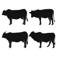 set simple cow illustration. Circuit. Farm. Black and white drawing by hand vector
