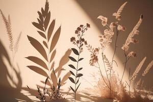 Shadows nature light beige background. Illustration photo