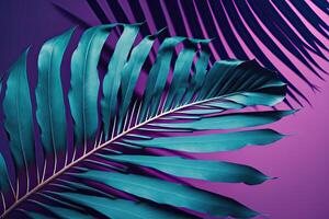 A large fresh palm leaf on a duotone purple-violet-blue. Illustration photo