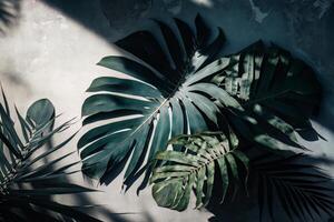 Soft shadows of tropical palm leaves. Illustration photo
