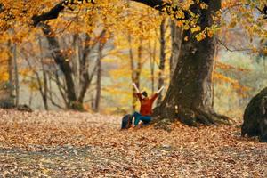 mujer en otoño bosque sentado debajo un árbol paisaje amarillo hojas modelo foto