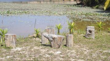 Stumps or wooden log as a chair a place for sitting and relax near the lake. photo