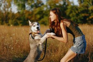 un esbelto mujer obras de teatro y bailes con un fornido raza perro en naturaleza en otoño en un campo de césped y sonrisas a un bueno noche en el ajuste Dom foto