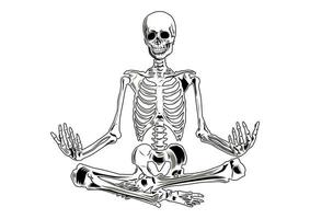 Vector skeleton in yoga position.