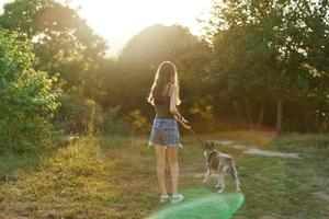 un mujer carreras su espalda a el cámara con un perro en el bosque durante un noche caminar en el bosque a puesta de sol en otoño. estilo de vida Deportes formación con tu amado perro foto