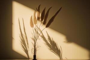 Pampas grass natural shadows on a beige wall or table. Illustration photo