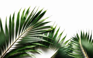 tropical palma hojas antecedentes. ilustración ai generativo foto