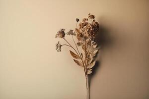 dry flower with a beige empty wall. Illustration photo