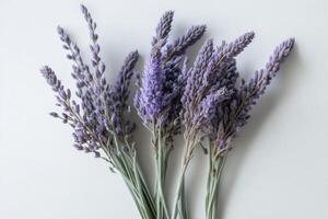 lavanda ramos de flores en blanco antecedentes. ilustración ai generativo foto