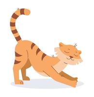 The tiger stretches while standing on four legs. Vector image.