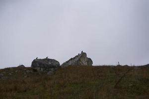 Rock landscape weather conditions autumn tall stones travel photo