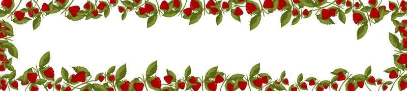 Spring horizontal border with raspberries and leaves. Summer vector banner isolated white background cartoon style.
