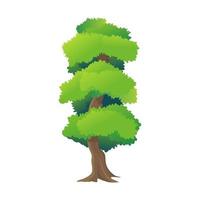 Different Green Tree. Vector illustration of Various Type Wood. Vector illustration.