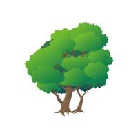 Tree icons set. Cartoon  vector icons for web isolated on white background. Set vector illustration.