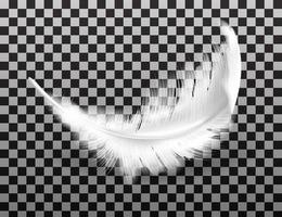 White fluffy feather with shadow realistic vector