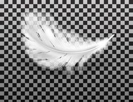 White fluffy feather with shadow realistic vector