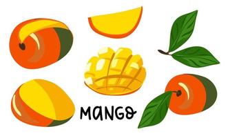 un conjunto de vector ilustraciones con el imagen de mango. un separar conjunto con diferente Fruta rebanadas dibujado a mano ilustraciones. tropical frutas, mango meriendas o vegetariano platos icono conjunto aislado vector