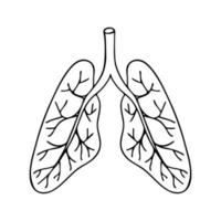 Doodle of Lungs isolated on white background. Vector thin outline hand drawn illustration of human internal organ.