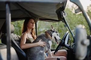 Woman and husky dog happily traveling in car smile with teeth fall walk with pet, travel with dog friend hugs and dances photo