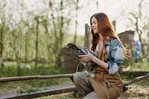 mujer mira a el pollo ella sostiene en su manos en el granja, granja labor para levantamiento sano aves y alimentación ellos orgánico comida en naturaleza foto