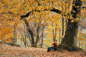 mujer cerca un árbol en el bosque en otoño caído hojas paisaje modelo suéter foto