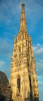 S t. de stephen catedral medieval sur torre foto