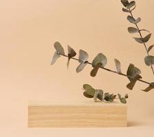 Wooden podium and eucalyptus branch on a beige background, a place for displaying and advertising products photo