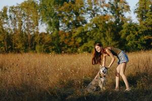 A woman plays and dances with a husky breed dog in nature in autumn on a field of grass and smiles at a good evening in the setting sun photo