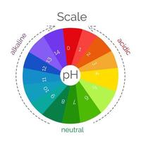 Round pH scale for measuring acid alkaline balance. Chemical value test. Infographics with indicator chart. Vector illustration