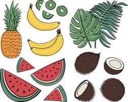 Set of tropical fruits and tropical leaves. Banana, coconut, watermelon, kiwi, pineapple and tropical leaves. Vector image in doodle style