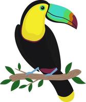 Illustration of a tropical bird - toucan. Bright toucan on a branch. vector