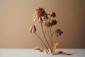 dry flower with a beige empty wall. Illustration photo