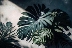 Soft shadows of tropical palm leaves. Illustration photo